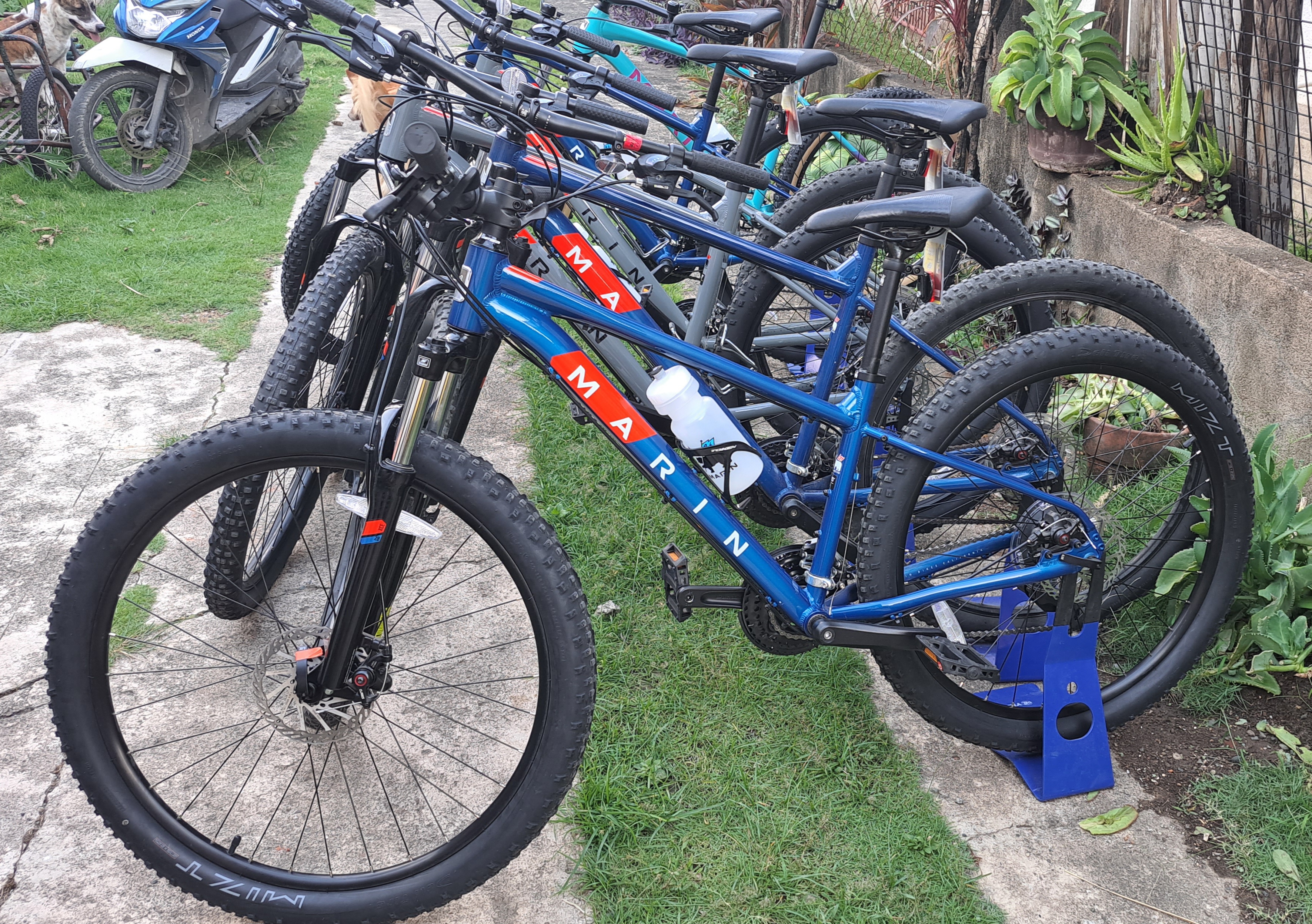 cycling holidays